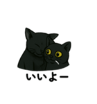 黒猫兄弟ココピー③（個別スタンプ：12）