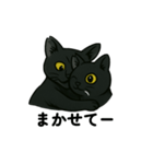 黒猫兄弟ココピー③（個別スタンプ：13）