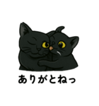 黒猫兄弟ココピー③（個別スタンプ：14）