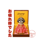 シーズー犬の可愛いコスプレスタンプ（個別スタンプ：26）