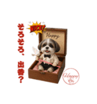 シーズー犬の可愛いコスプレスタンプ（個別スタンプ：31）