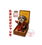 シーズー犬の可愛いコスプレスタンプ（個別スタンプ：40）