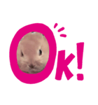 ぼくはコムギ！（個別スタンプ：1）