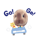 ぼくはコムギ！（個別スタンプ：3）