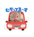 ぼくはコムギ！（個別スタンプ：8）