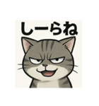 煽り猫@（個別スタンプ：1）