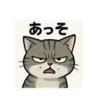 煽り猫@（個別スタンプ：3）