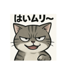 煽り猫@（個別スタンプ：4）