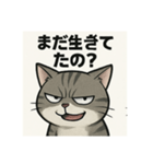 煽り猫@（個別スタンプ：7）