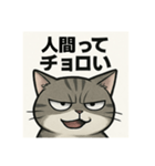煽り猫@（個別スタンプ：8）