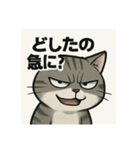 煽り猫@（個別スタンプ：11）