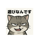 煽り猫@（個別スタンプ：12）