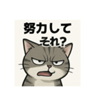 煽り猫@（個別スタンプ：14）
