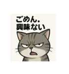 煽り猫@（個別スタンプ：16）