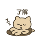 ねこ感情ダッシュ！（個別スタンプ：14）