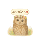 季節で使える4種の水彩フクロウスタンプ（個別スタンプ：4）