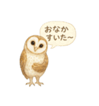 季節で使える4種の水彩フクロウスタンプ（個別スタンプ：7）