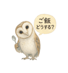 季節で使える4種の水彩フクロウスタンプ（個別スタンプ：9）