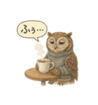 季節で使える4種の水彩フクロウスタンプ（個別スタンプ：12）