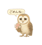 季節で使える4種の水彩フクロウスタンプ（個別スタンプ：13）