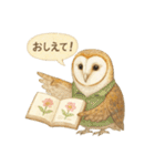 季節で使える4種の水彩フクロウスタンプ（個別スタンプ：21）