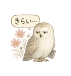 季節で使える4種の水彩フクロウスタンプ（個別スタンプ：22）