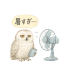 季節で使える4種の水彩フクロウスタンプ（個別スタンプ：26）