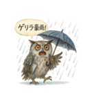 季節で使える4種の水彩フクロウスタンプ（個別スタンプ：28）