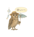 季節で使える4種の水彩フクロウスタンプ（個別スタンプ：29）