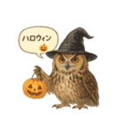 季節で使える4種の水彩フクロウスタンプ（個別スタンプ：35）
