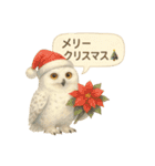季節で使える4種の水彩フクロウスタンプ（個別スタンプ：37）