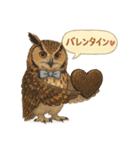 季節で使える4種の水彩フクロウスタンプ（個別スタンプ：39）