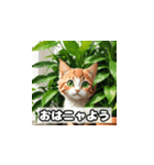 植物と昼寝ネコスタンプ（個別スタンプ：1）