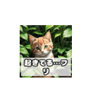 植物と昼寝ネコスタンプ（個別スタンプ：5）