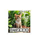 植物と昼寝ネコスタンプ（個別スタンプ：25）