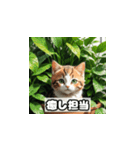 植物と昼寝ネコスタンプ（個別スタンプ：27）