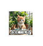 植物と昼寝ネコスタンプ（個別スタンプ：30）