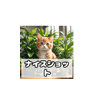 植物と昼寝ネコスタンプ（個別スタンプ：34）