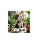 植物と昼寝ネコスタンプ（個別スタンプ：38）
