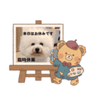 Mint♂ビションフリーゼ（個別スタンプ：31）