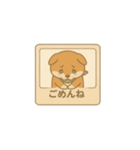 レトロ柴犬「しば丸」看板ポップ風（個別スタンプ：7）
