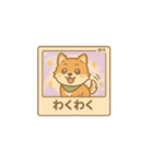 レトロ柴犬「しば丸」看板ポップ風（個別スタンプ：16）
