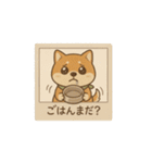 レトロ柴犬「しば丸」看板ポップ風（個別スタンプ：31）