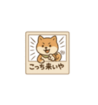 レトロ柴犬「しば丸」看板ポップ風（個別スタンプ：37）