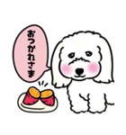 キュルルンかわいいこむぎスタンプ（個別スタンプ：5）