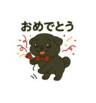 ころころな黒パグさん＊日常編＊（個別スタンプ：6）