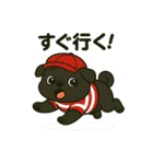 ころころな黒パグさん＊日常編＊（個別スタンプ：12）