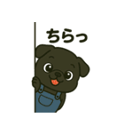 ころころな黒パグさん＊日常編＊（個別スタンプ：16）