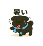 ころころな黒パグさん＊日常編＊（個別スタンプ：31）