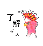 なんだか派手なクルマサカオウム（個別スタンプ：1）